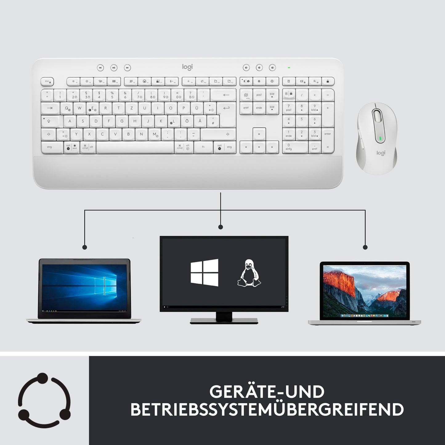 Logitech Signature K650 Combo for Business (weiss, DE-Layout, Plunger, Logi Bolt, Bluetooth, für Windows/macOS/Chrome OS/Linux/iPadOS/Android)