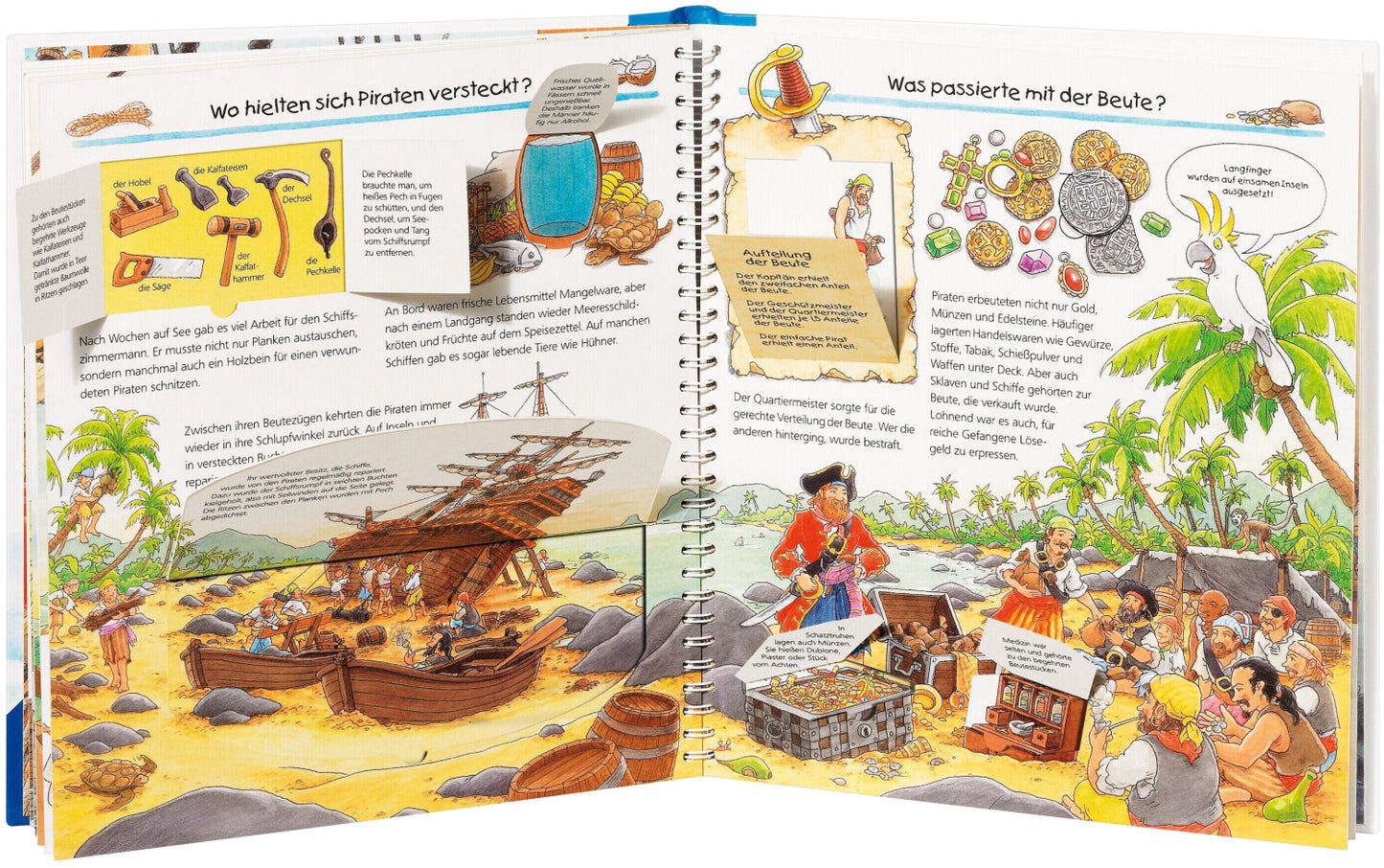 Wieso? Weshalb? Warum? Band 40: Alles über Piraten, Buch