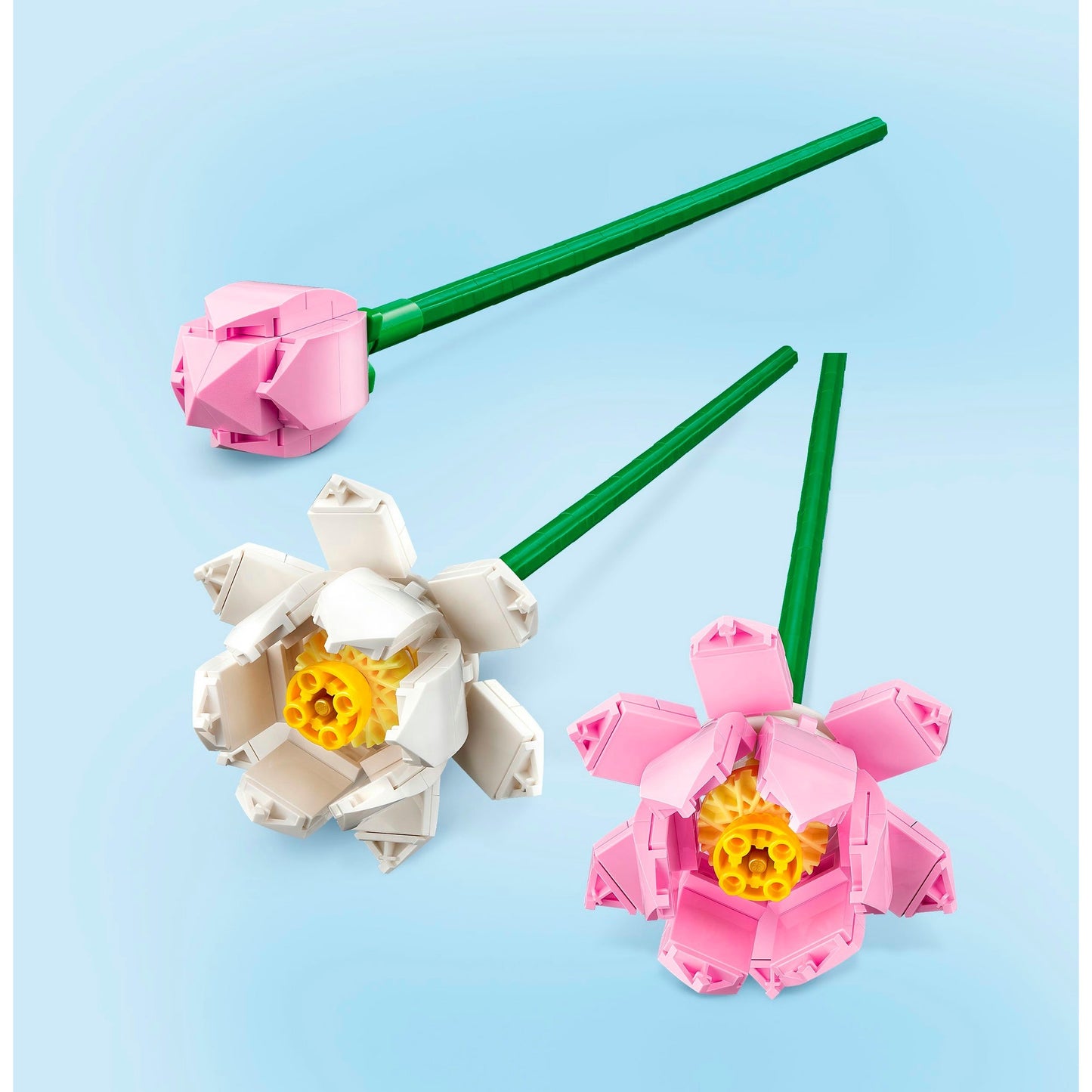 LEGO 40647 Iconic Lotusblumen, Konstruktionsspielzeug