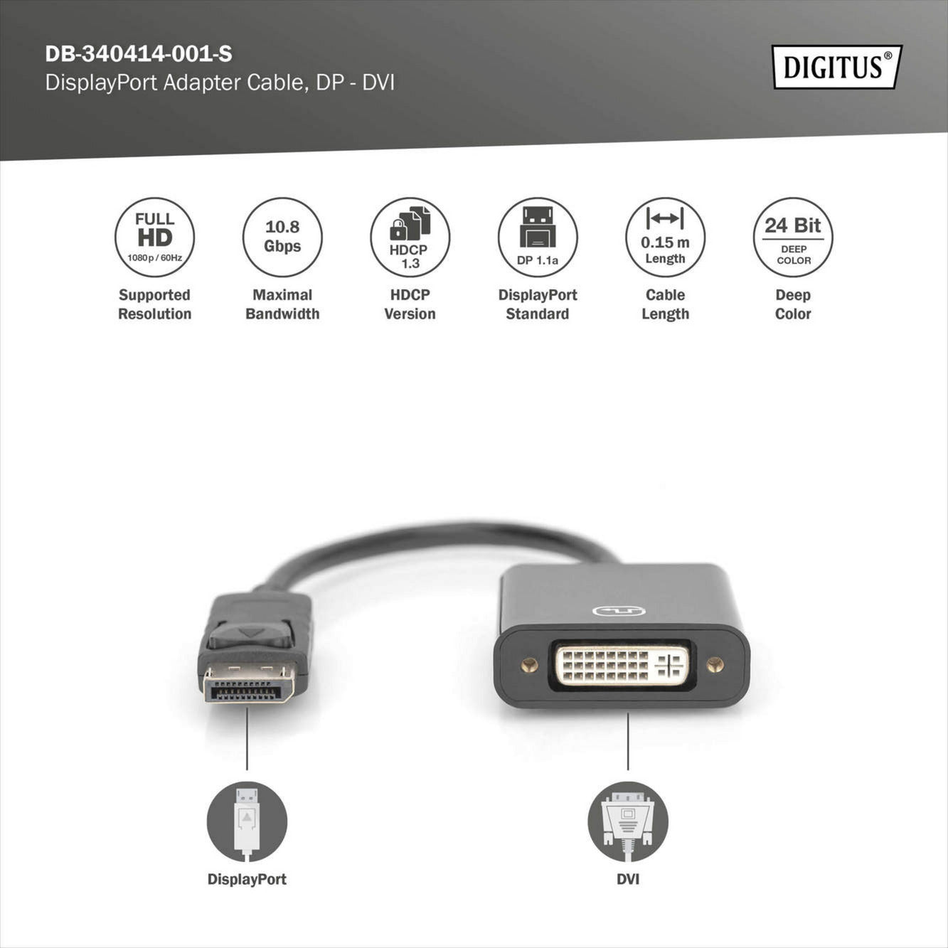 DisplayPort auf DVI Adapter / Konverter