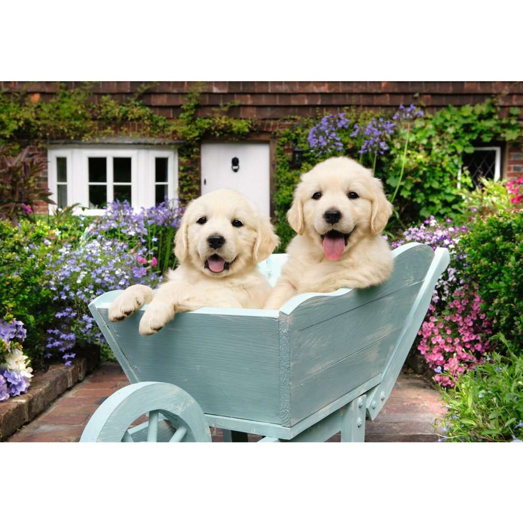 Feel Well & Puzzle - Golden Retriever