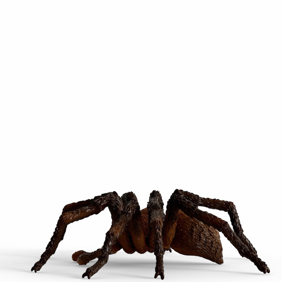 Schleich Wizarding World Harry Potter - Aragog