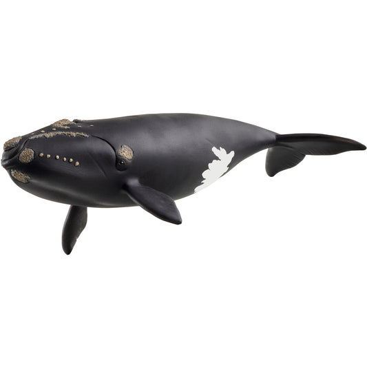 Wild Life Nordatlantischer Glattwal, Spielfigur