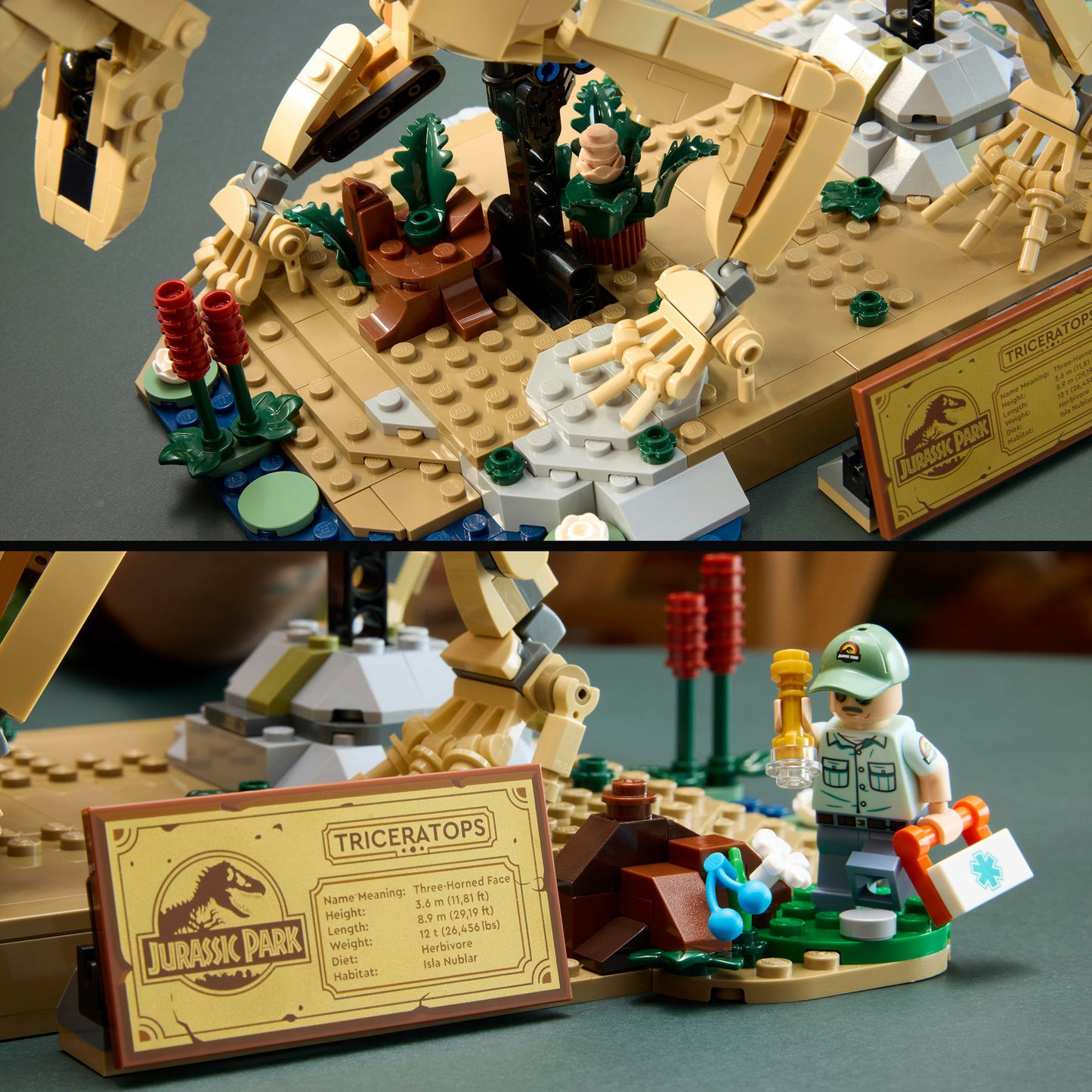 77985 Jurassic World Dinosaurier-Fossilien: Triceratops, Konstruktionsspielzeug