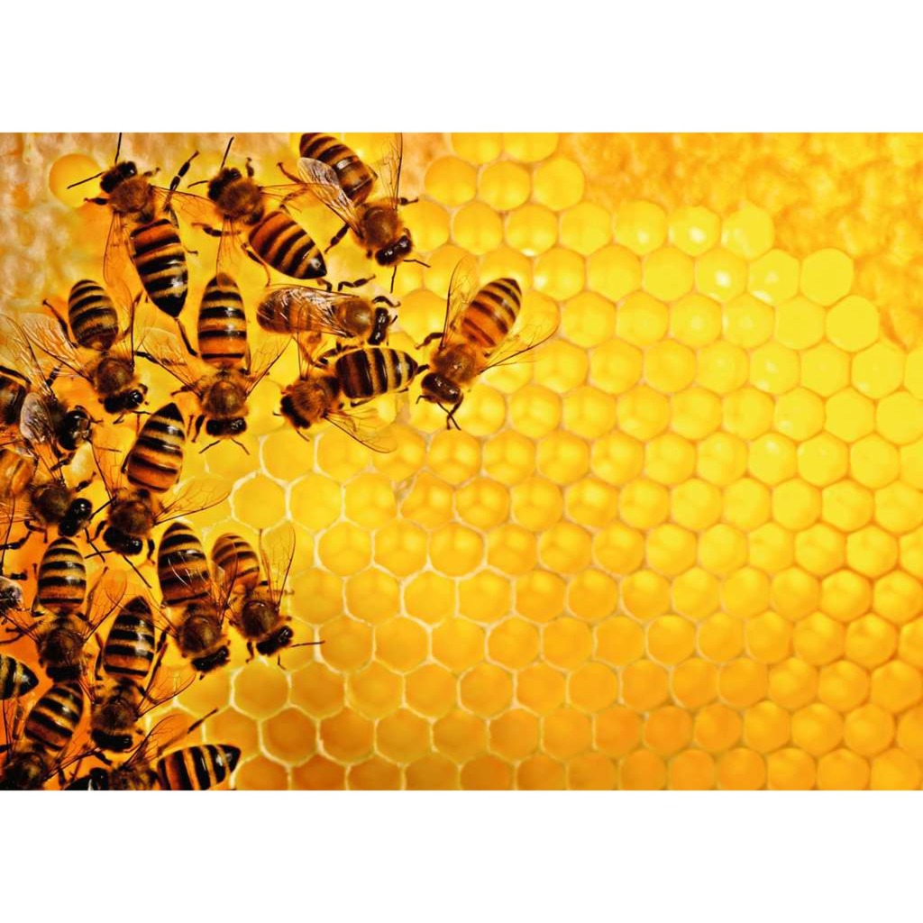 Ravensburger Puzzle Challenge Bienen (1000 Teile)