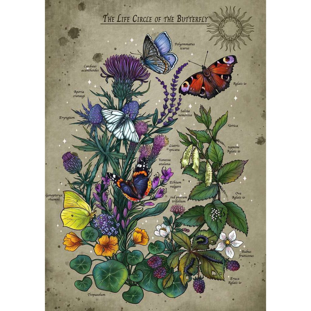 Puzzle - Lebenskreis Schmetterling