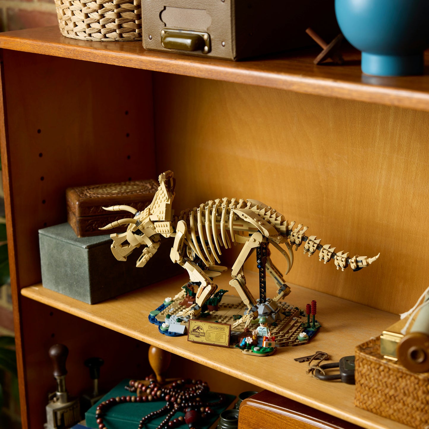 77985 Jurassic World Dinosaurier-Fossilien: Triceratops, Konstruktionsspielzeug