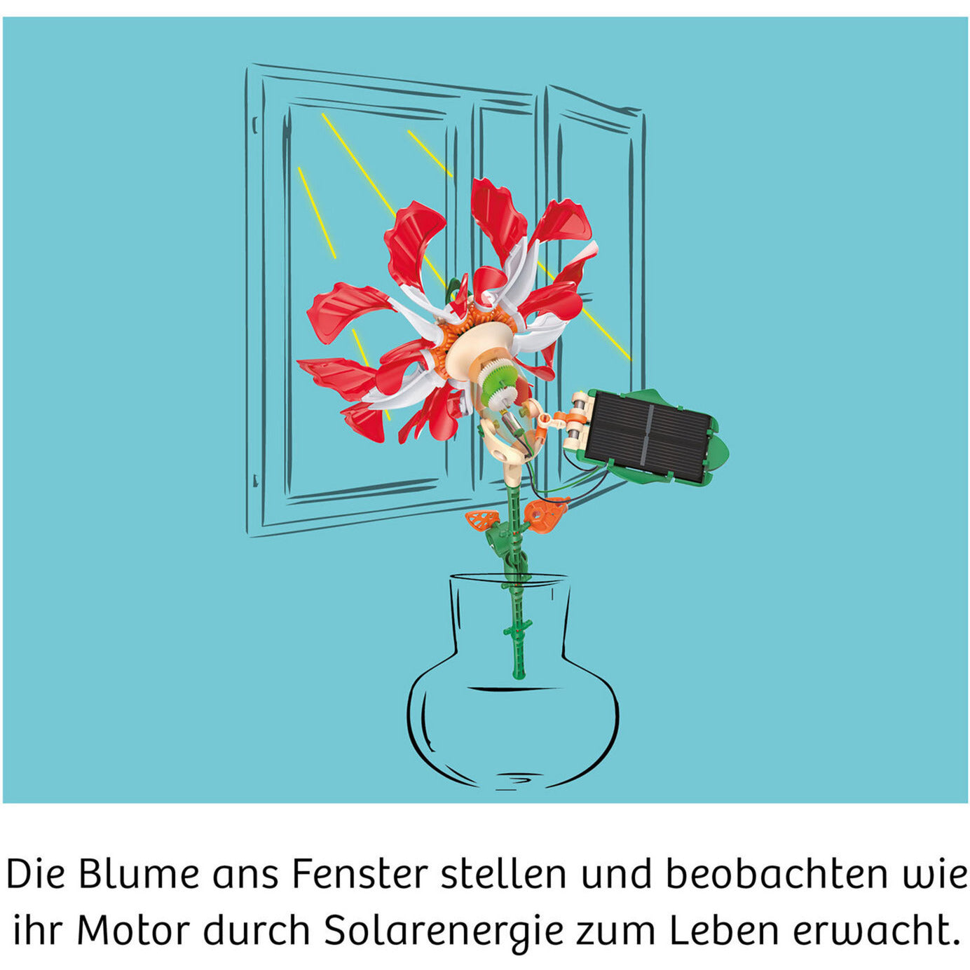 Solar-Flower, Experimentierkasten